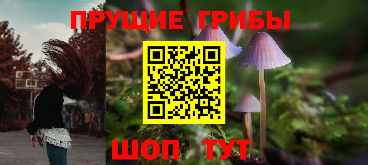 Псилоцибиновые грибы мухоморы Большой Камень